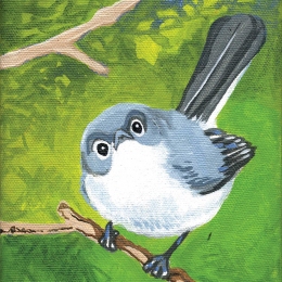 Curious Nuthatch
