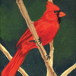 Winter Sentinel, (Cardinal)  © 2014 Mary Liz Tippin-Moody
